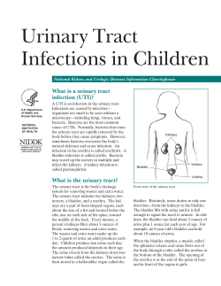 Urinary Tract Infections in Children What is a urinary tract infection (UTI)?