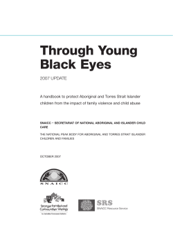 Through Young Black Eyes 2007 Update
