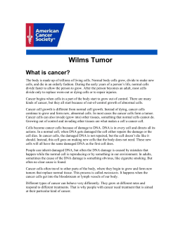 Wilms Tumor What is cancer?