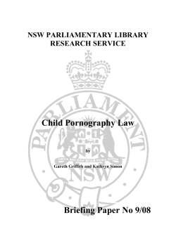 Child Pornography Law Briefing Paper No 9/08  NSW PARLIAMENTARY LIBRARY