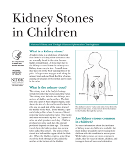Kidney Stones in Children What is a kidney stone?