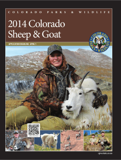 2014 Colorado Sheep &amp; Goat v