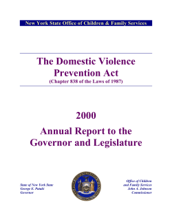 The Domestic Violence Prevention Act 2000 Annual Report to the