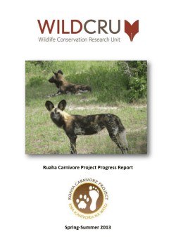 Ruaha Carnivore Project Progress Report Spring-Summer 2013