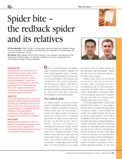 Spider bite – the redback spider and its relatives