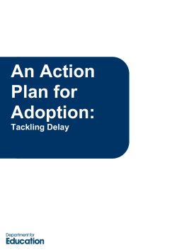 An Action Plan for Adoption: Tackling Delay