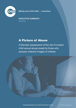 A Picture of Abuse Centre Plan 2012-13