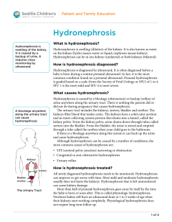 Hydronephrosis Patient and Family Education What is hydronephrosis?