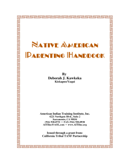 Native American Parenting Handbook By Deborah J. Kawkeka