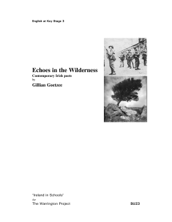 Echoes in the Wilderness Gillian Goetzee Contemporary Irish poets SU23