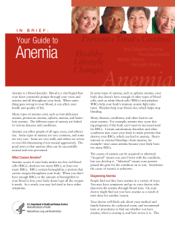 Anemia Your Guide to