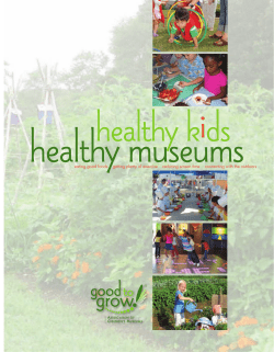 healthy museums healthy kids i