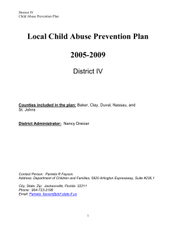 Local Child Abuse Prevention Plan 2005-2009 District IV