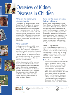 Overview of Kidney Diseases in Children What are the kidneys, and