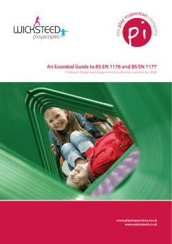 pi An Essential Guide to BS EN 1176 and BS EN... www.playinspections.co.uk www.wicksteed.co.uk