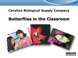 Butterflies in the Classroom Carolina Biological Supply Company