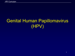 Genital Human Papillomavirus (HPV)  HPV Curriculum