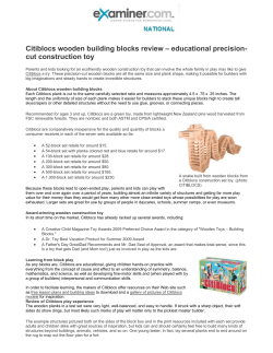 Citiblocs wooden building blocks review – educational precision- cut construction toy