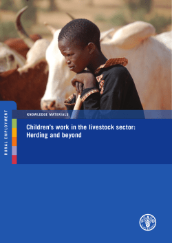Children’s work in the livestock sector: Herding and beyond T EN