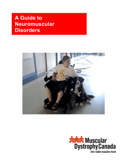 A Guide to Neuromuscular Disorders