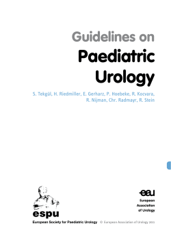 Paediatric Urology Guidelines on