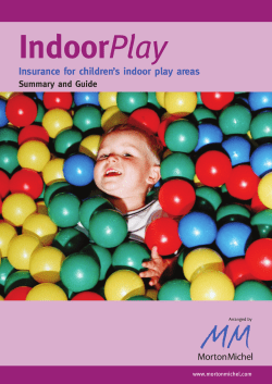 Indoor Insurance for children’s indoor play areas Summary and Guide www.mortonmichel.com