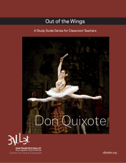 Don Quixote Out of the Wings Center for Dance Education
