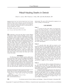 Pitbull Mauling Deaths in Detroit C R