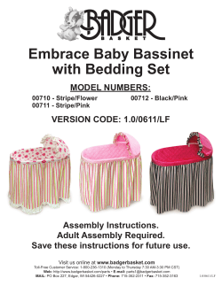 Embrace Baby Bassinet with Bedding Set