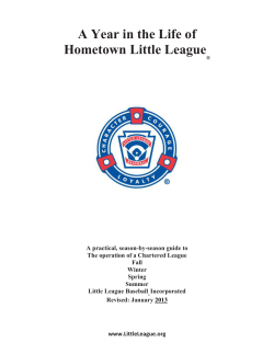A Year in the Life of Hometown Little League