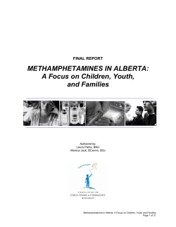 METHAMPHETAMINES IN ALBERTA: A Focus on Children, Youth, and Families