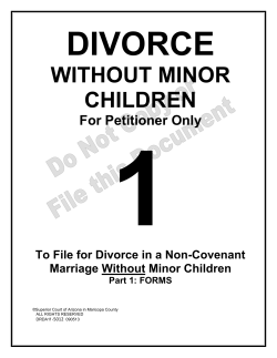 1 DIVORCE WITHOUT MINOR CHILDREN