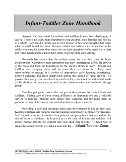 Infant-Toddler Zone Handbook