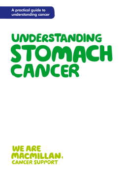 A practical guide to understanding cancer