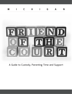 A Guide to Custody, Parenting Time and Support M I C