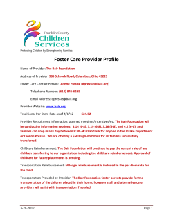 Foster Care Provider Profile 