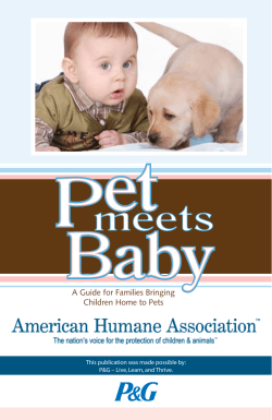 A Guide for Families Bringing Children Home to Pets