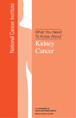 Kidney Cancer National Cancer Institute What You Need