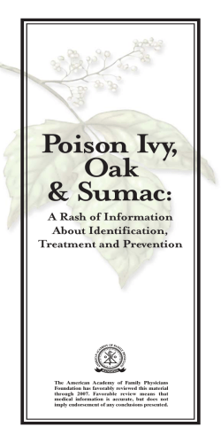 Poison Ivy, Oak &amp; Sumac: A Rash of Information