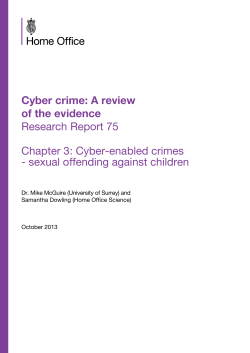 Cyber crime: A review  of the evidence Research Report 75