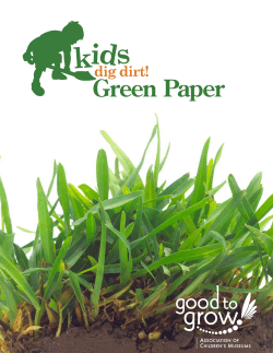 Green Paper