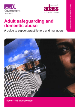 Adult safeguarding and domestic abuse A guide to support practitioners and managers