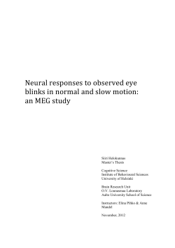 Neural responses to observed eye blinks in normal and slow motion:
