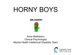 HORNY BOYS Anne Mathieson Clinical Psychologist Mental Health Intellectual Disability Team