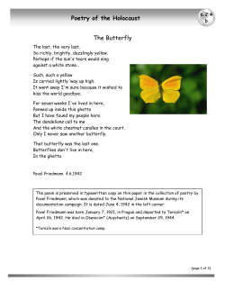 Poetry of the Holocaust The Butterfly