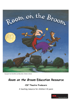 Room on the Broom Education Resource CDP Theatre Producers
