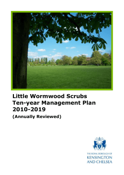 Little Wormwood Scrubs Ten-year Management Plan 2010-2019