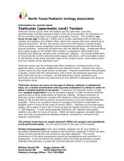 Testicular (spermatic cord) Torsion North Texas Pediatric Urology Associates