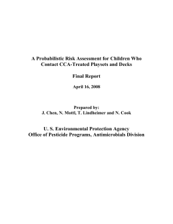 A Probabilistic Risk Assessment for Children Who Final Report