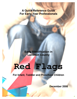 Red Flags A Quick Reference Guide For Early Year Professionals